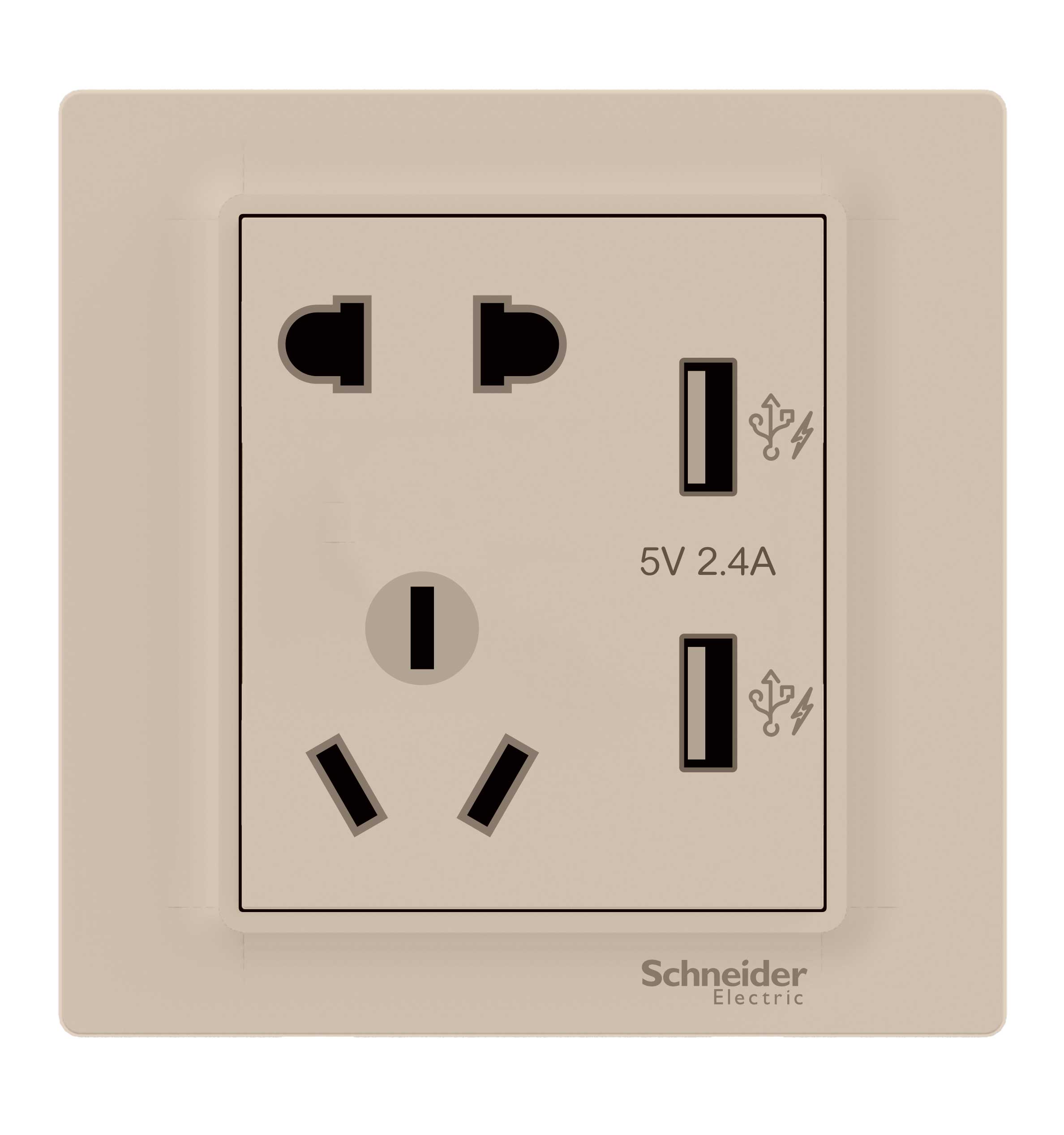 施耐德新璟意10a 250v 二/三极插座带 2.4a 双usb(白色,金色,灰色—