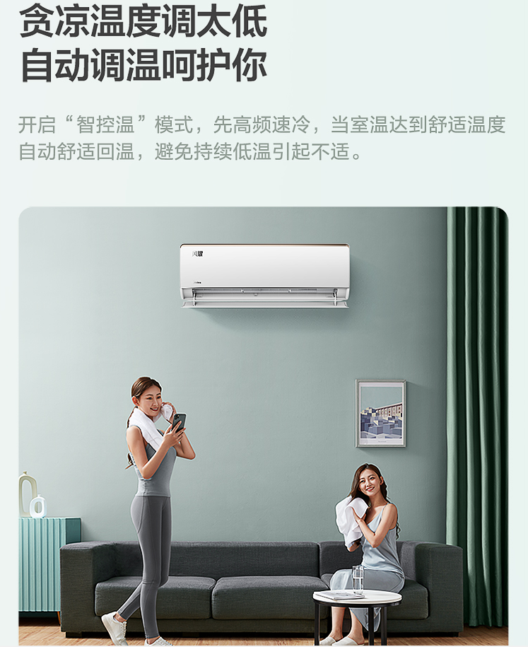 美的(midea) 新能效 风耀 大1